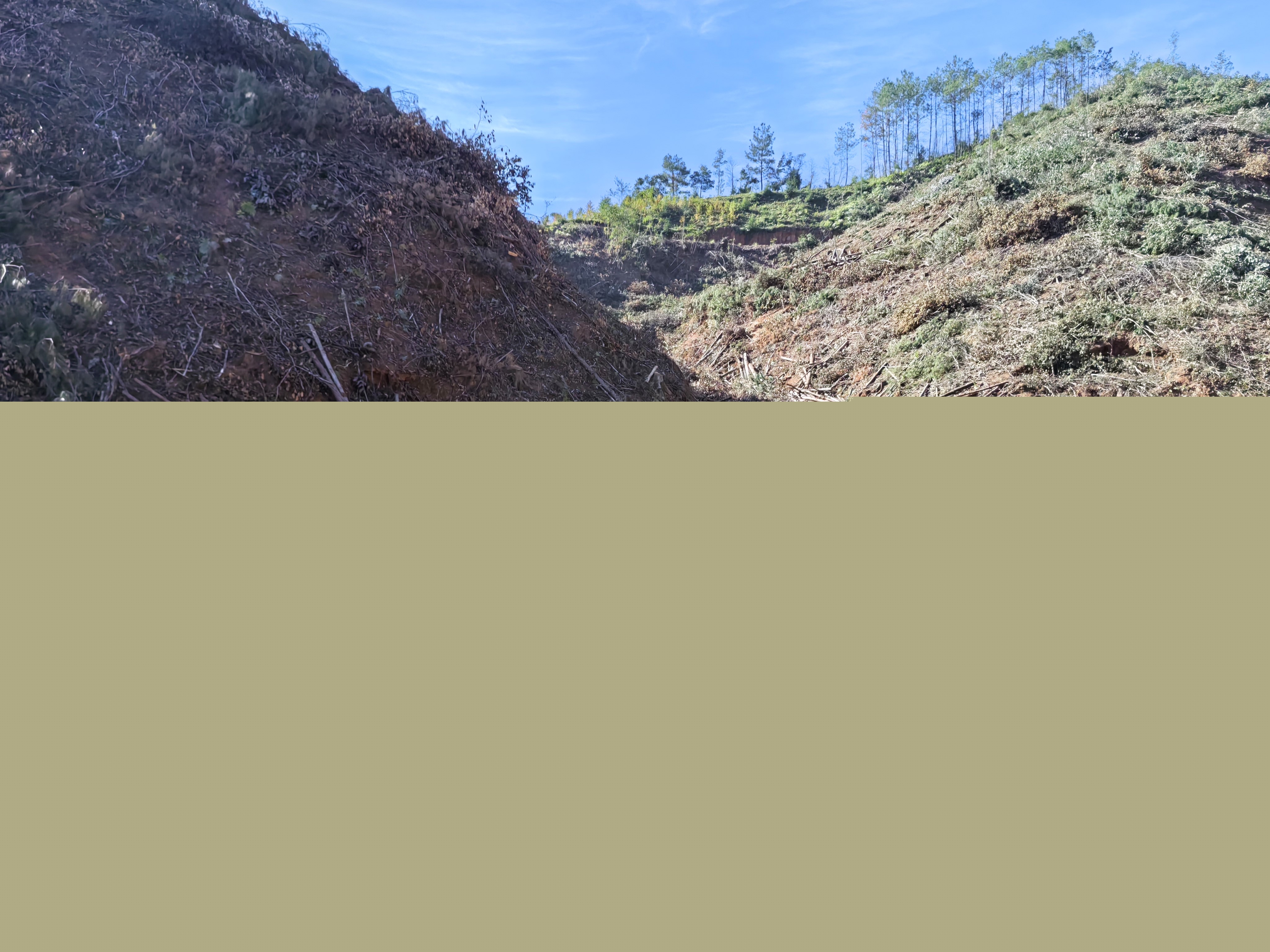 平安常青，我們在行動——常青分公司開展安全生產日活動