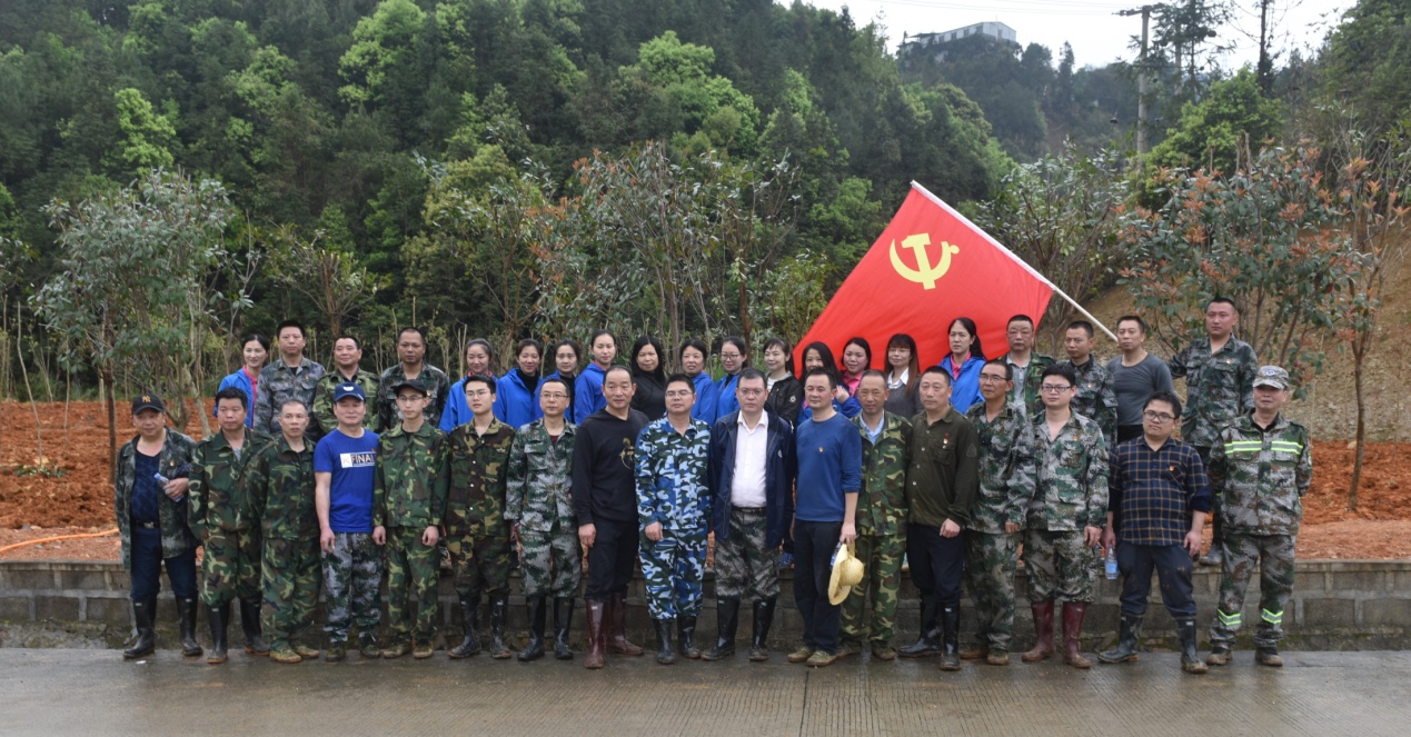 陽春三月雨，正是植樹好時節(jié)