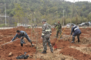 陽(yáng)春三月雨，正是植樹(shù)好時(shí)節(jié)