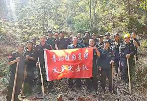 干好每一天|青山掛白我復綠，無私奉獻金森人——資源保護部義務(wù)突擊隊工作記實