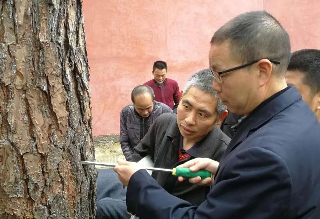 金森公司開展森林病蟲害防治培訓(xùn) 金森公司開展森林病蟲害防治培訓(xùn)