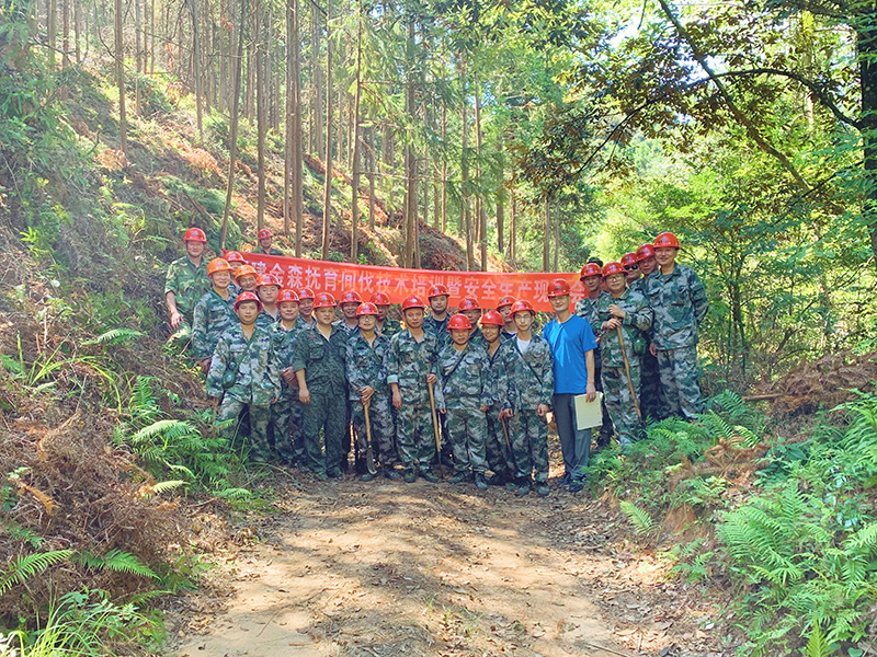 嚴(yán)把森林培育質(zhì)量關(guān)，譜寫資源培育新篇章