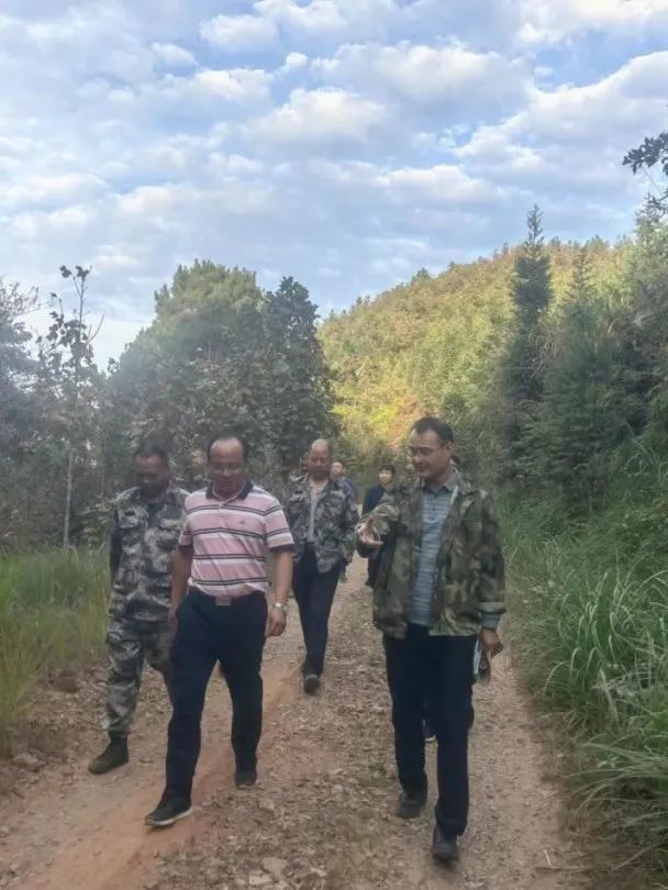 1667459049731754.jpg 1667459049731754.jpg