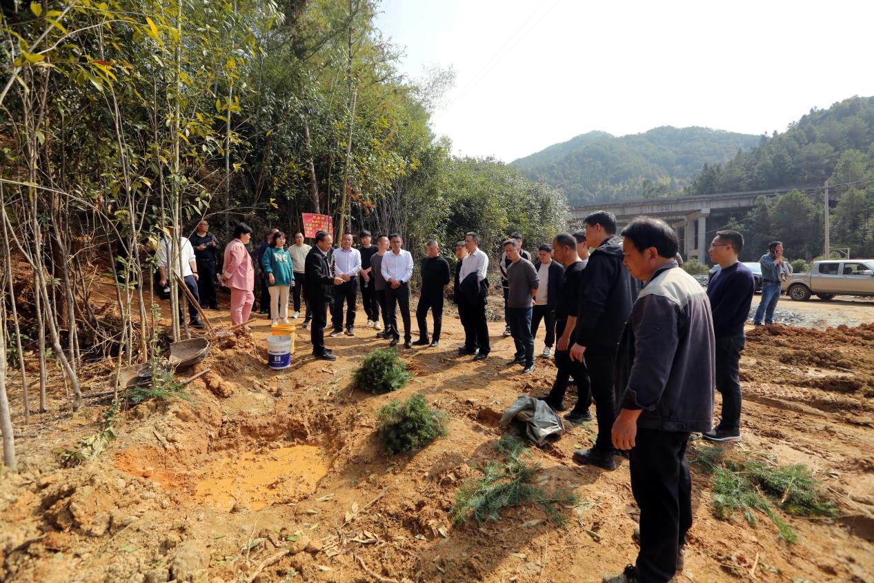 不負春光好，搶播萬畝林 ——將樂縣村企合作造林工作現(xiàn)場會在福建金森召開