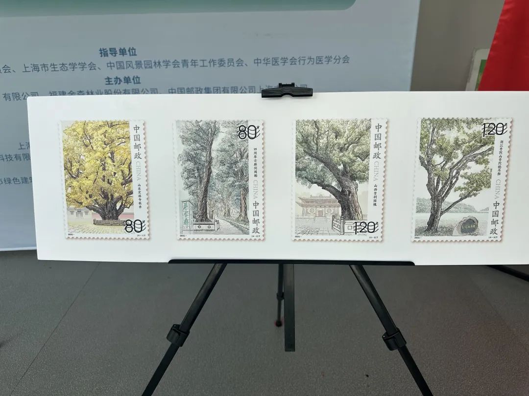 全國(guó)生態(tài)日來(lái)了！福建金森攜手舉辦上?！吧胶Ｍ铡ば雍糜心恪被顒?dòng)